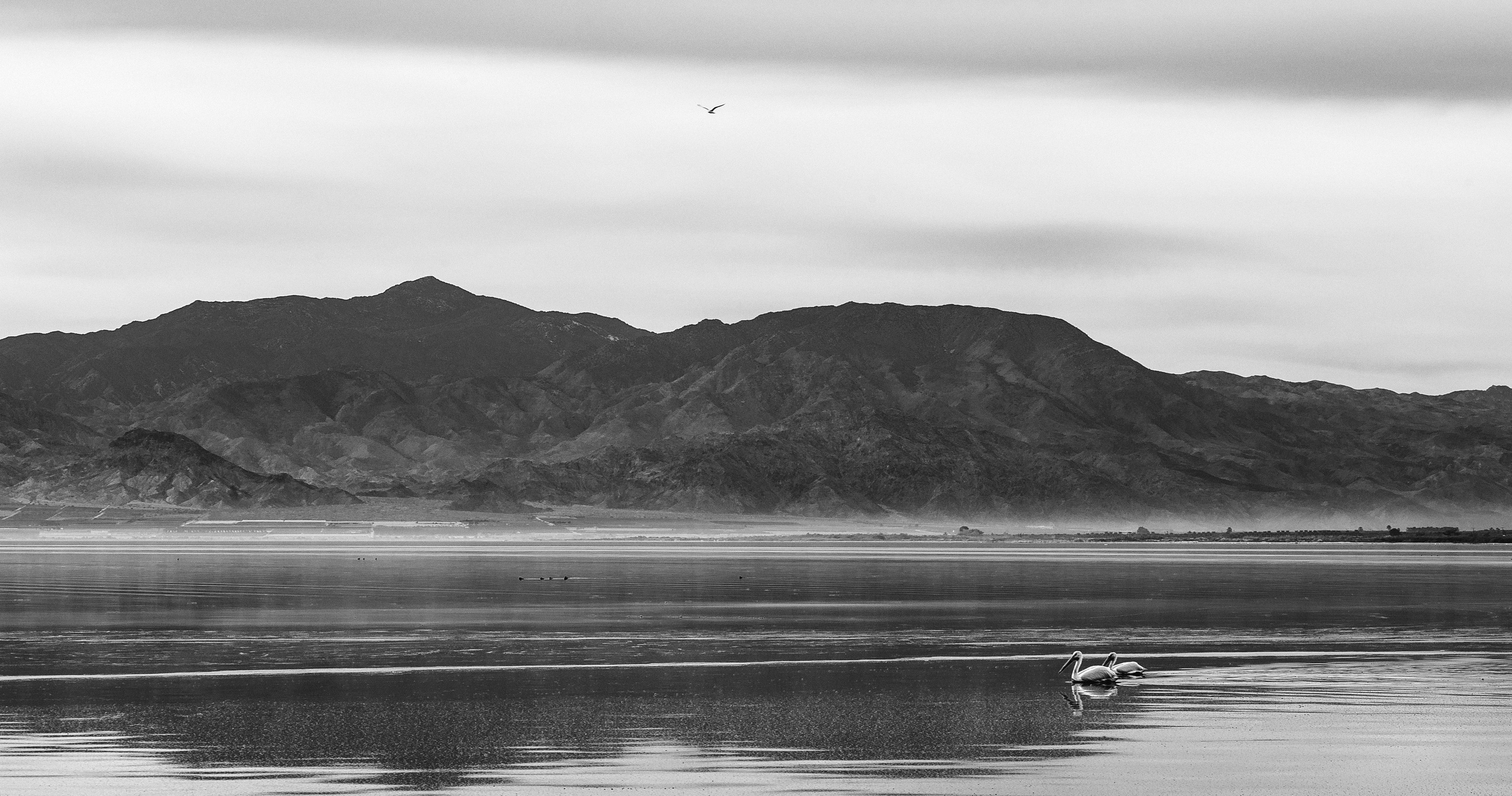 One If By Air, Two If By Sea