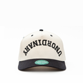 Unordinary Embroidered Snapback