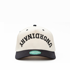 Unordinary Embroidered Snapback