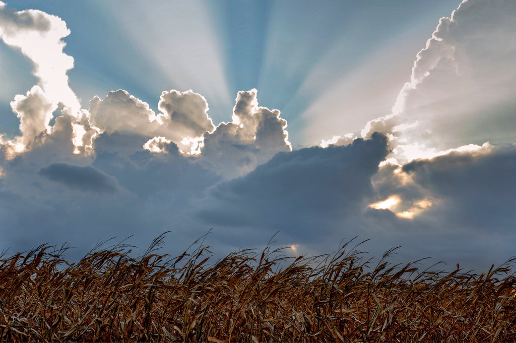 The Majestic Midwest
