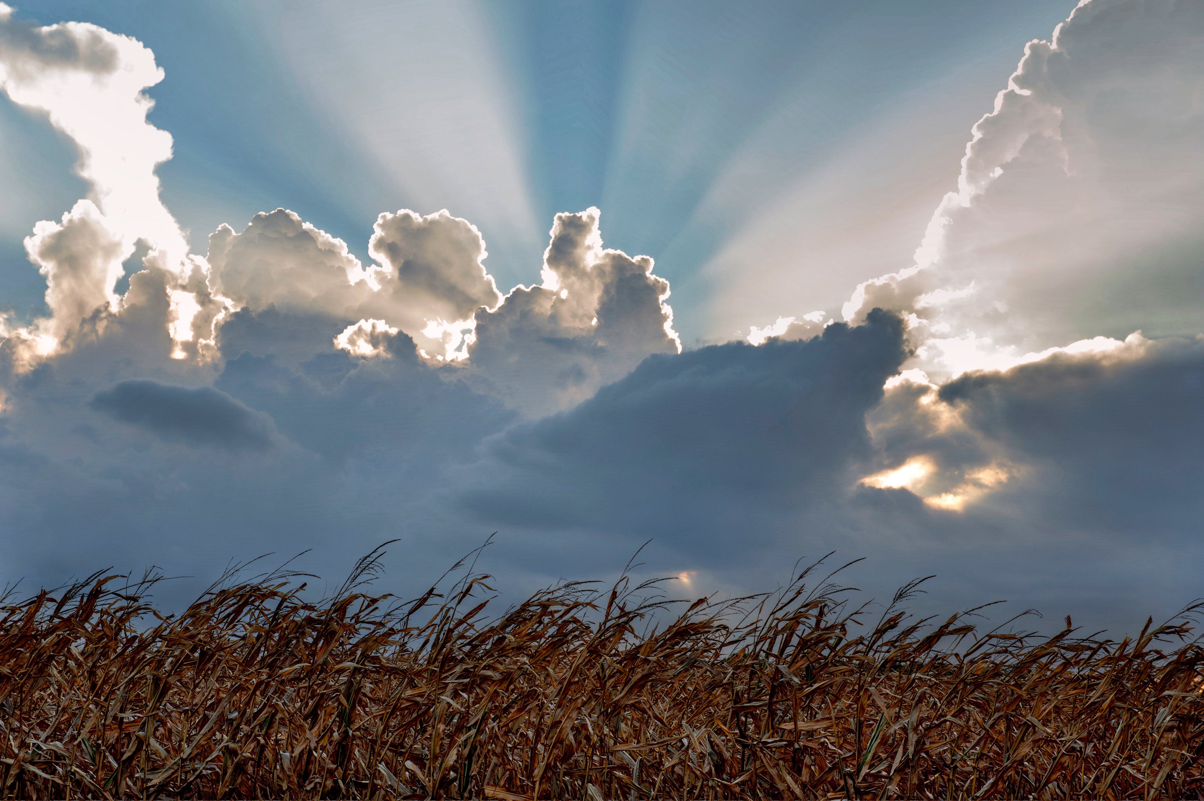 The Majestic Midwest